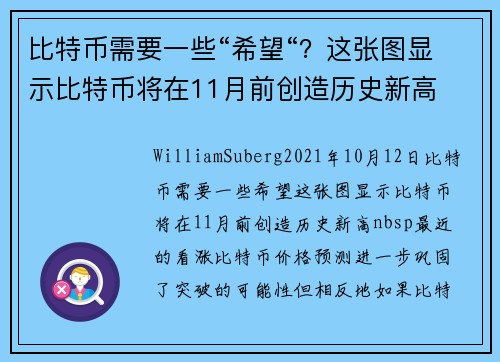 比特币需要一些“希望“？这张图显示比特币将在11月前创造历史新高 